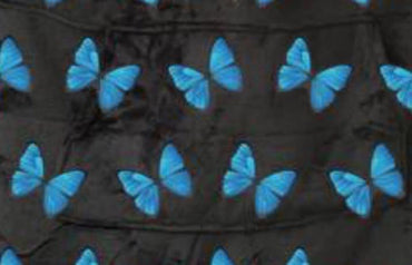 Butterfly Blanket